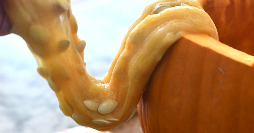 pulling slime out of pumpkin 