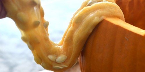 Create DIY Pumpkin Guts Slime with the Kids this Fall