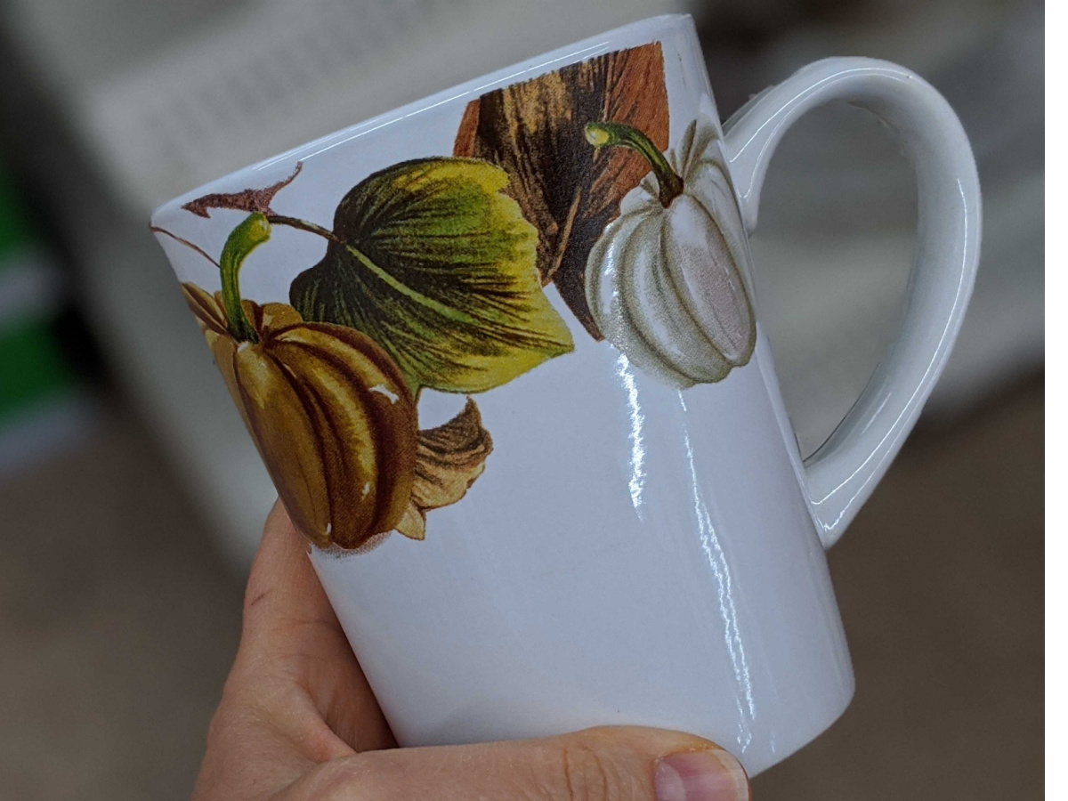 hand holding mug with pumpkins painted on it