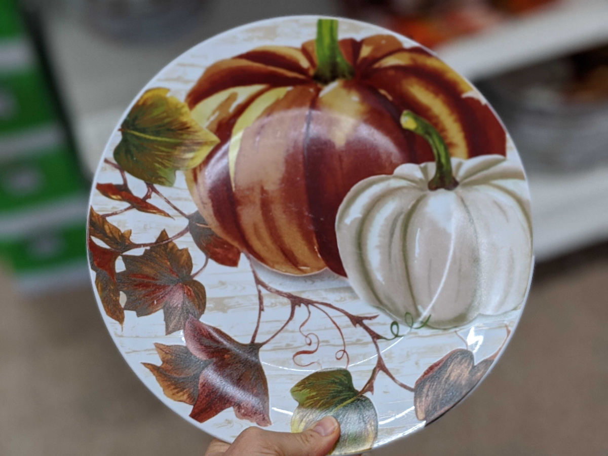 hand holding plate with pumpkins painted on it