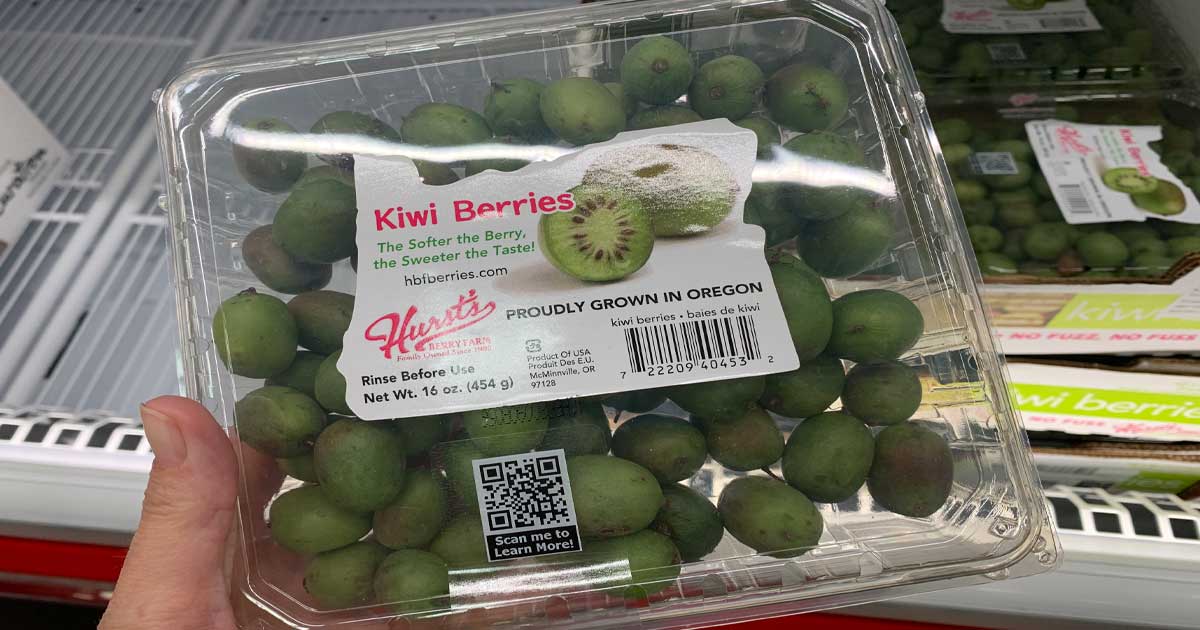 Green Kiwi (3 lbs.) - Sam's Club