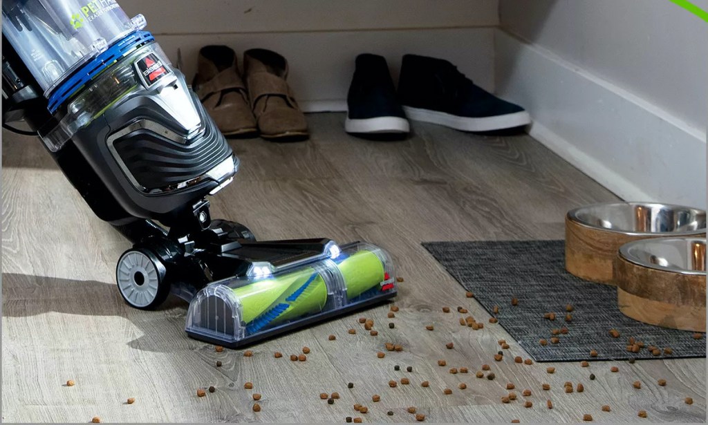 vacuum cleaning dog food on floor i home