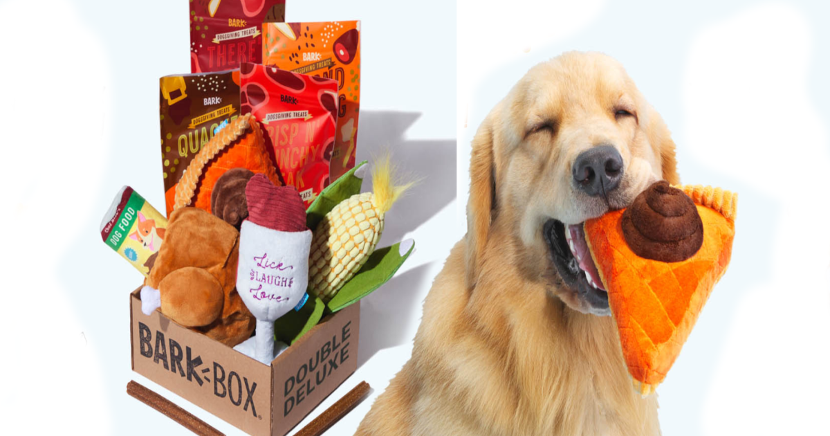 50 Off Dog Toys W BarkBox Subscription Latest Coupon On Hip2Save 50-off-dog-toys-w-barkbox-subscription-latest-coupon-on-hip2save