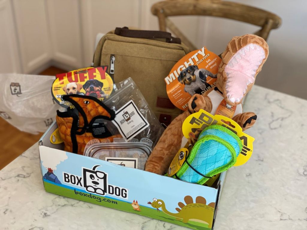 a box full of dog toys from boxdog