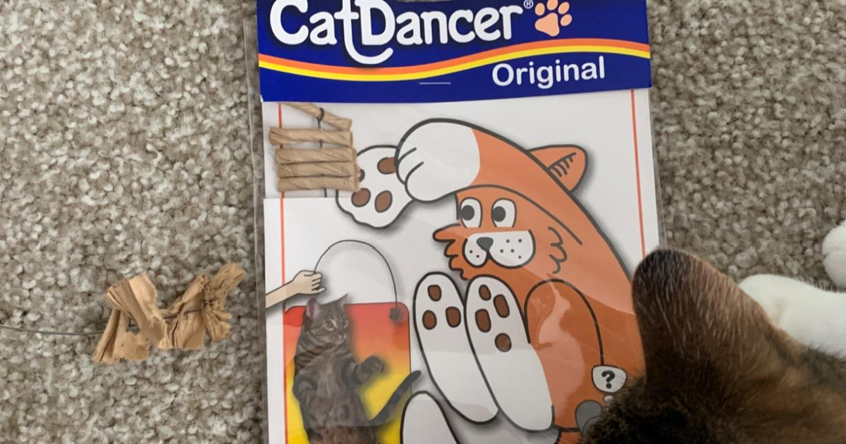 cat dancer cat toy