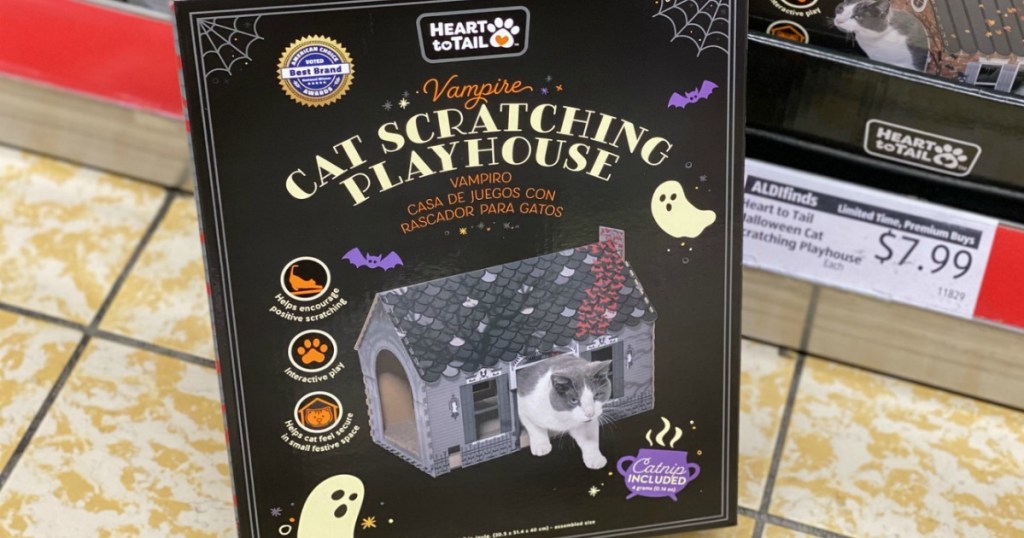 Cat Scratch Playhouse