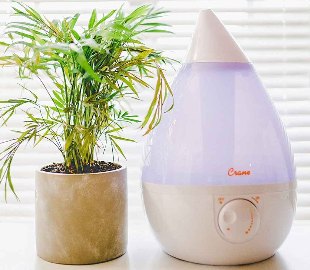 humidifier next to a plant