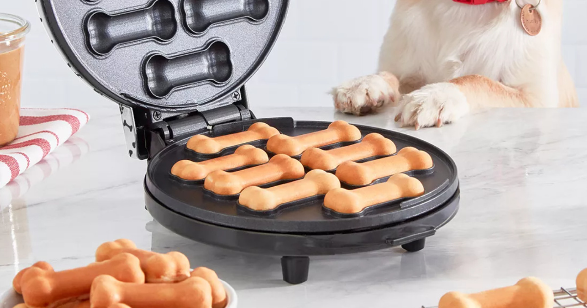 dash dog treat maker on a kitchen counter with a puppy behind it