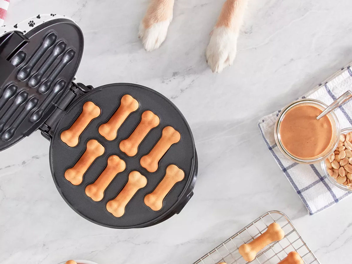 Dash Dog Treat Maker Only $16.99 on Kohls.com (Regularly $40) - Hip2Save