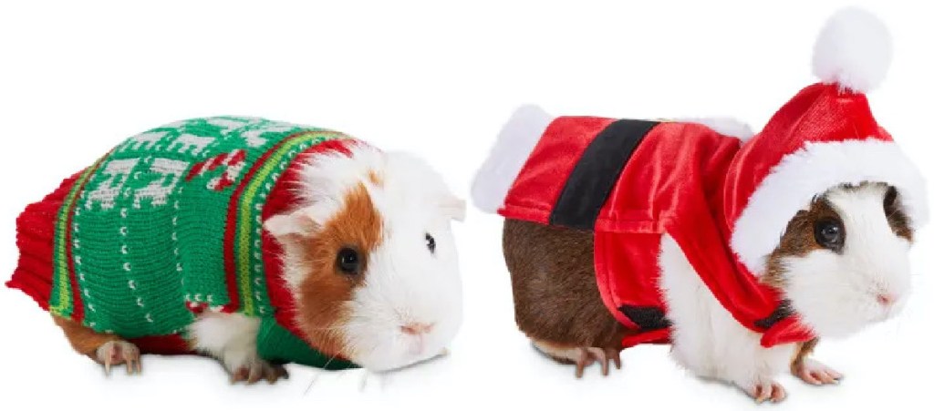pet-holiday-costumes-from-8-99-on-petco-hip2save