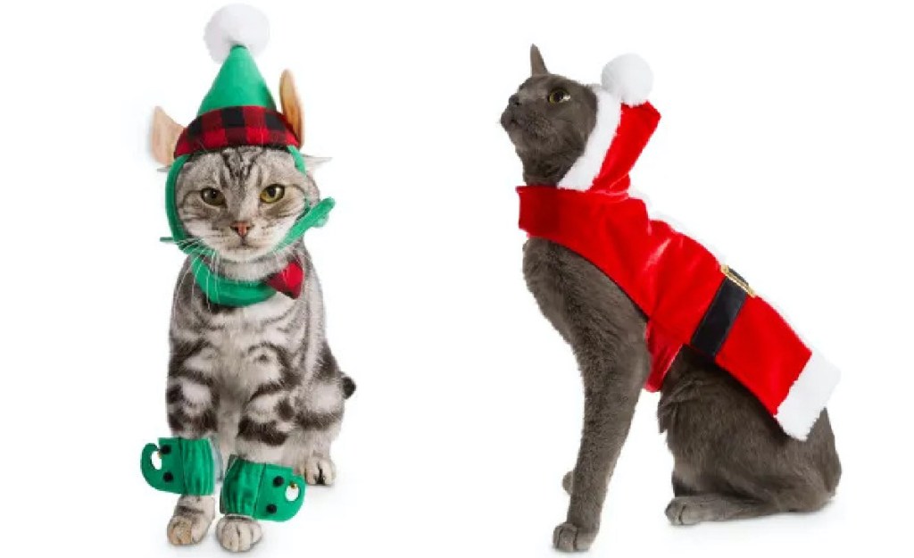 cat in green elf costume set and cat in santa costume set