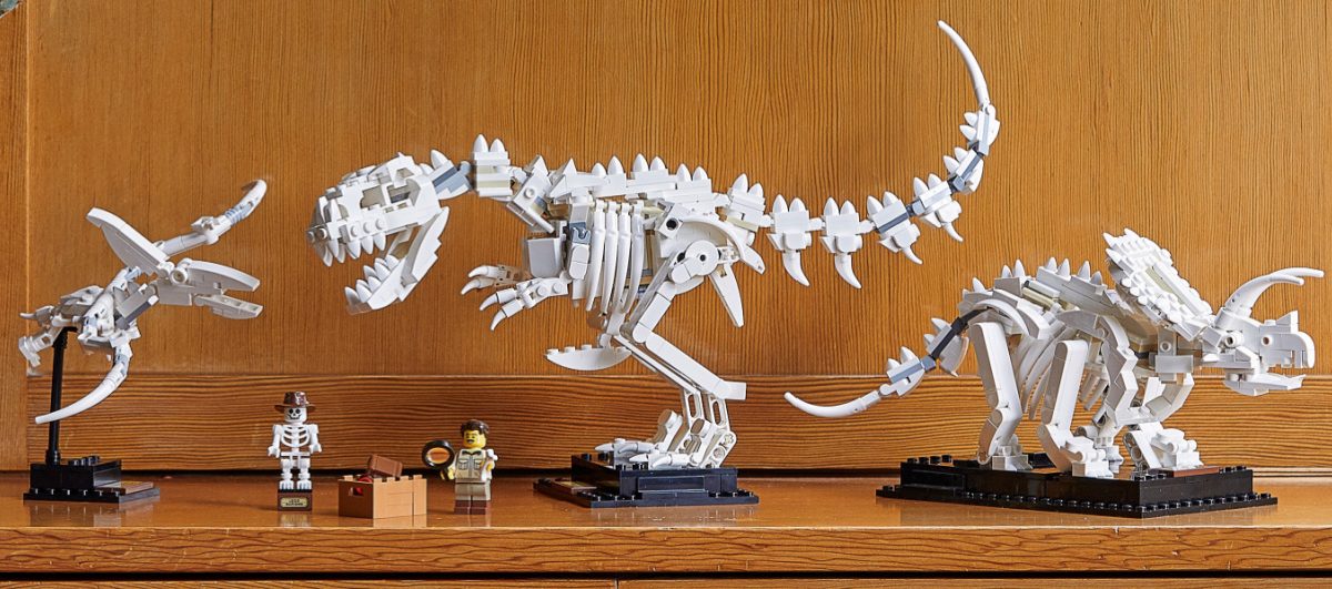 dinosaur fossil building toys