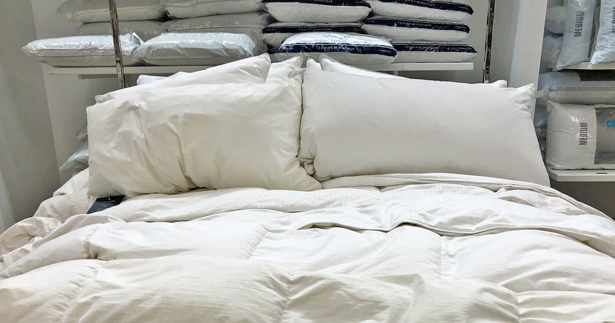 Standard Pillow 2-Packs from $ on Macy' (Regularly $50) | Tommy  Bahama, Calvin Klein, Tommy Hilfiger & More | Hip2Save