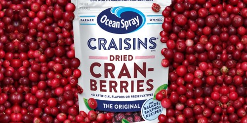 Ocean Spray Craisins Dried Cranberries 24oz Bag Only $3.78 on Amazon