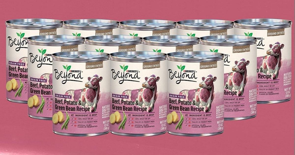 purina beyond wet dog food