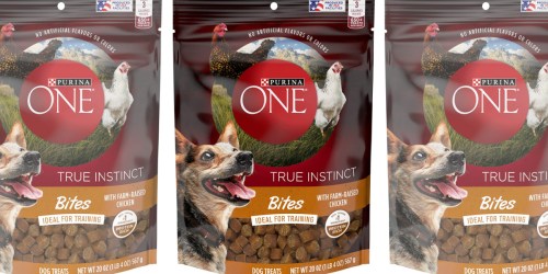 Purina ONE Training Dog Treats Only $3 on Chewy.com (Regularly $12)
