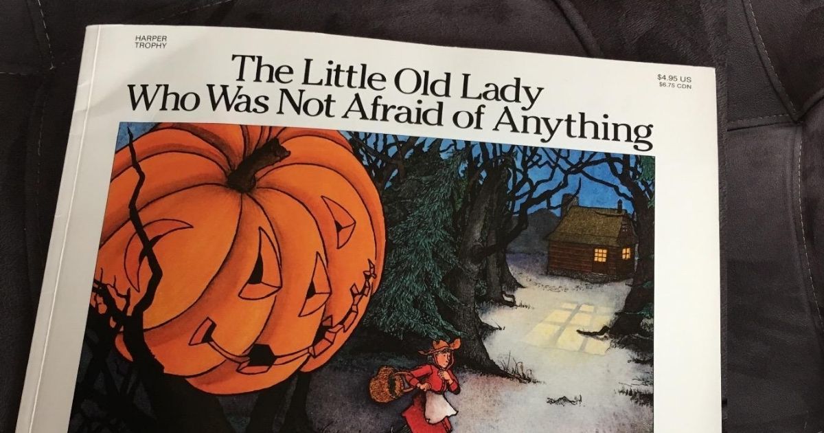 The Little Old Lady Who Was Not Afraid of Anything book