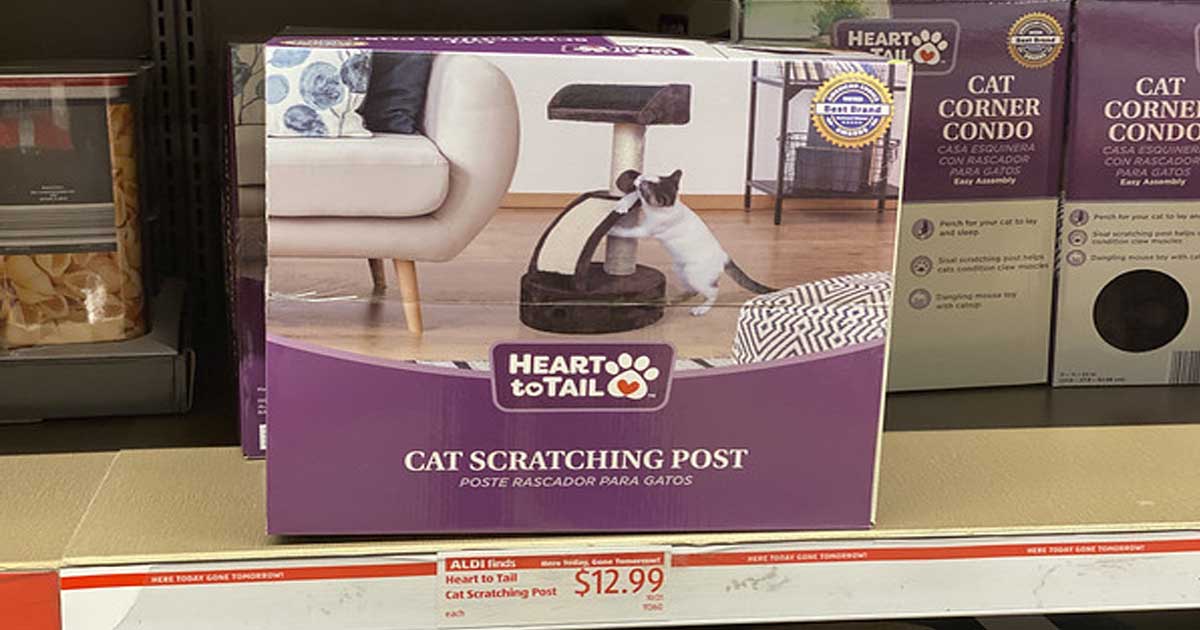 Cat Owners! ALDI Has Some Must-Buy 