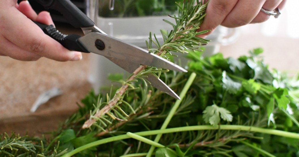 cutting fresh herbs