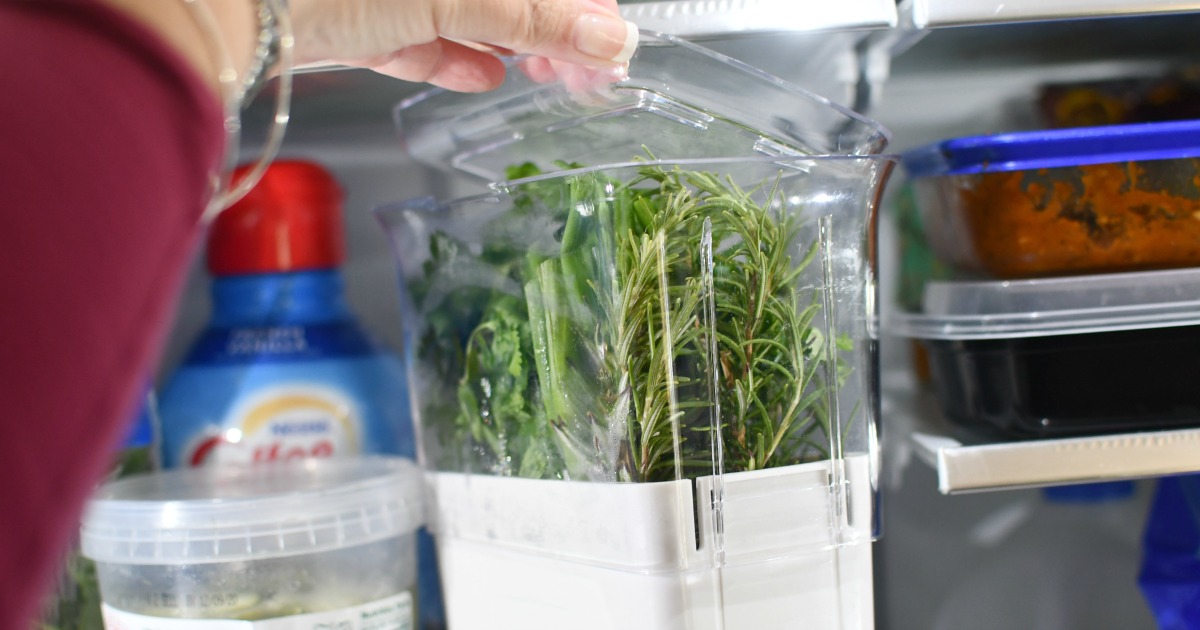 herb keeper in the fridge
