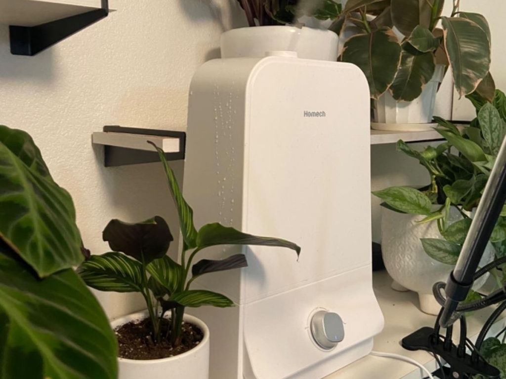 Homech humidifier on shelf with plants surrounding it
