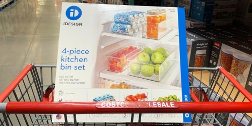 iDesign 4-Piece Kitchen Bin Set Only $19.99 at Costco | Great Reviews