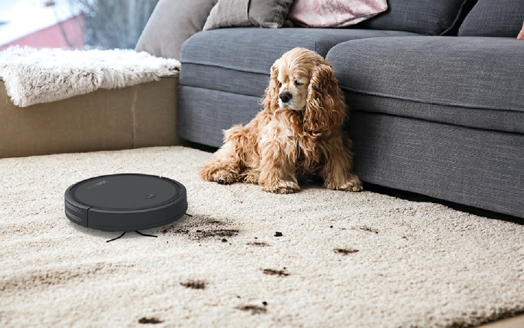 black smart vacuum on dirty carpet with dog leaning against couch