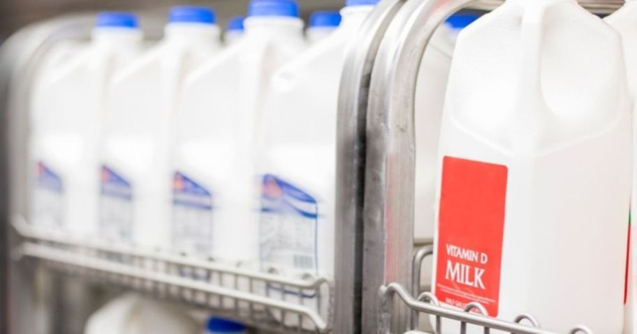 milk in refrigerated case at Kroger