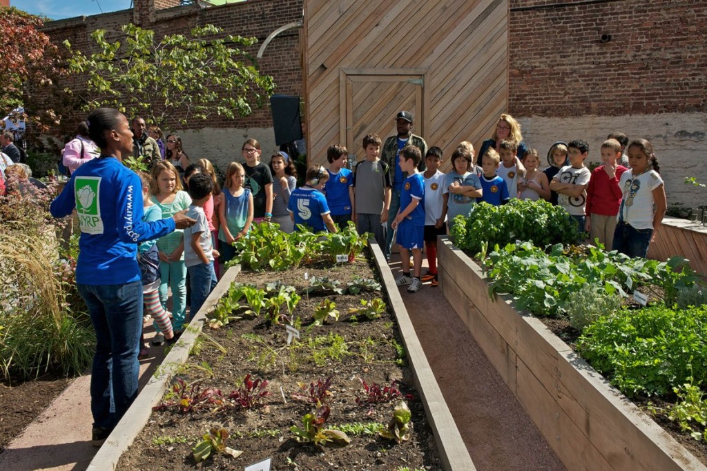 students learning about gardening