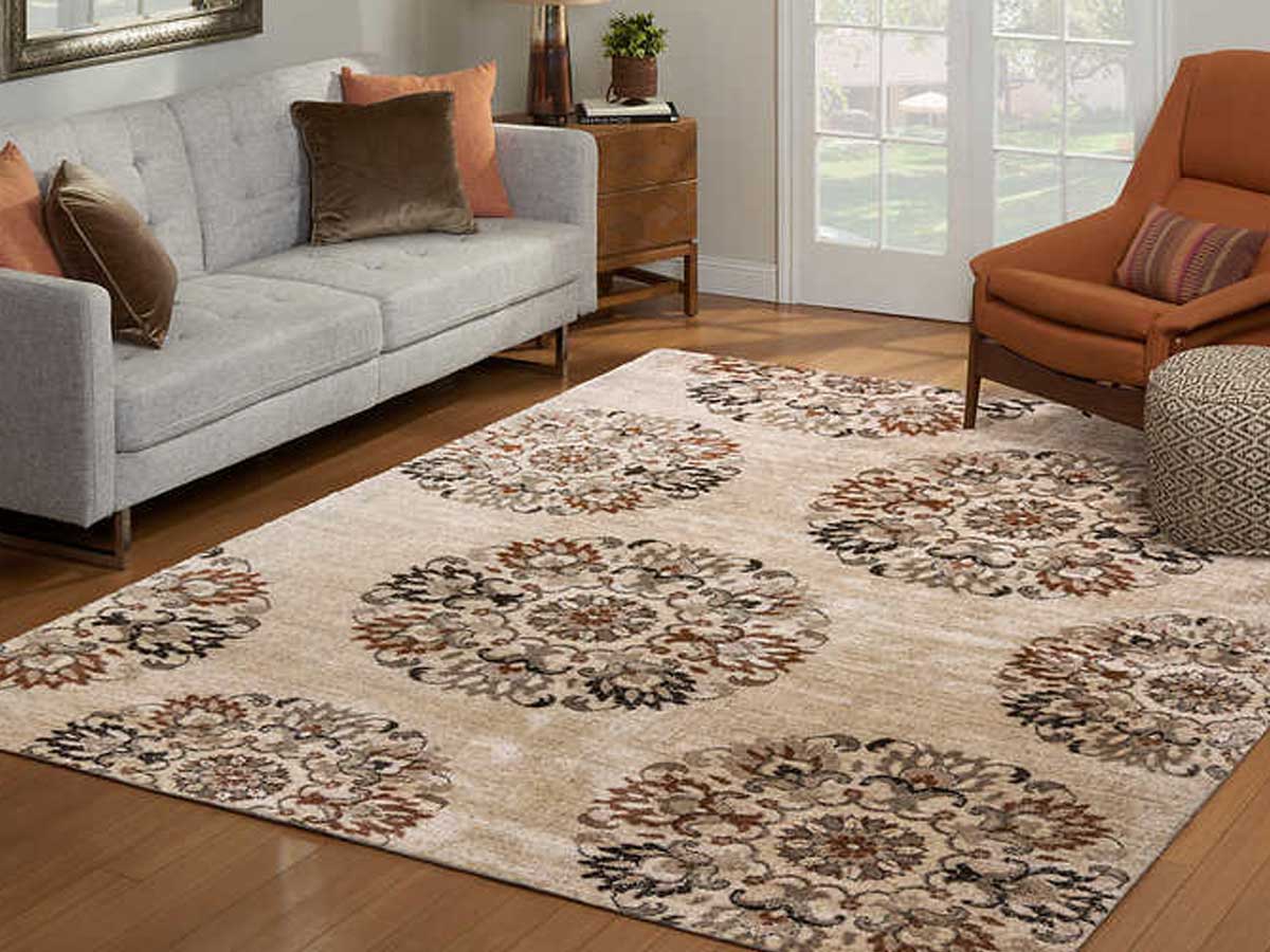 Designer Area Rugs From 49 99 On Costco Com Lots Of Styles Sizes   Rug With Circles Costco 