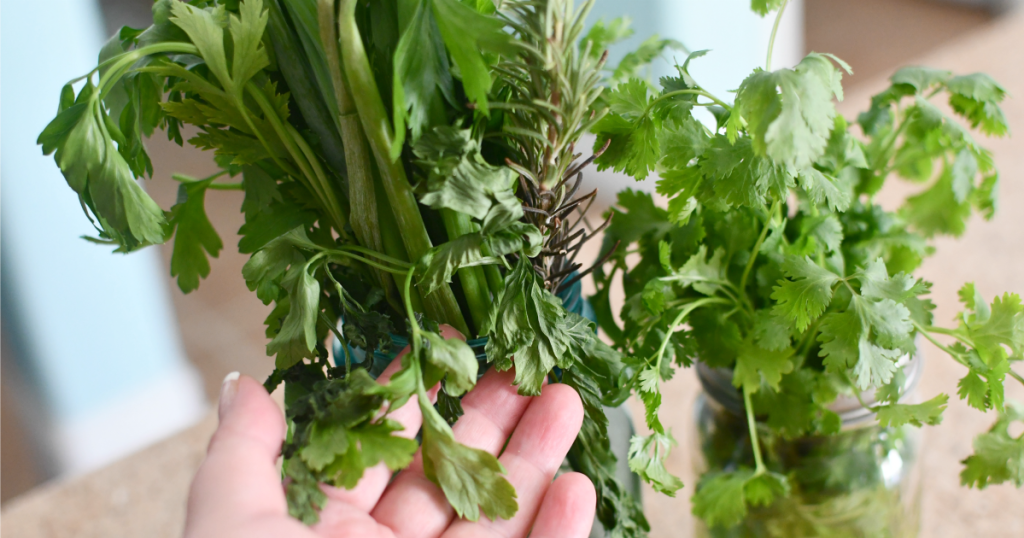 2 Best Ways to Keep Herbs Fresh for Weeks | Hip2Save