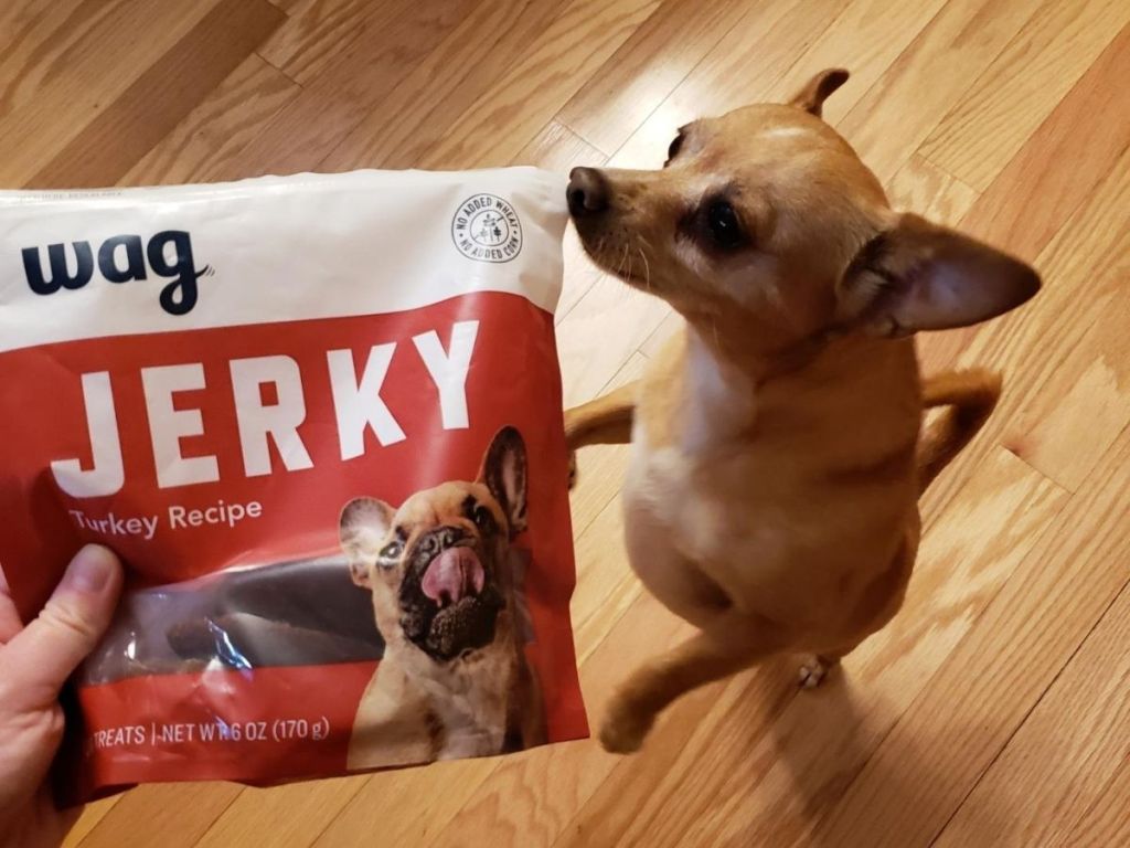 chihuahua dog sniffing wag Jerky bag