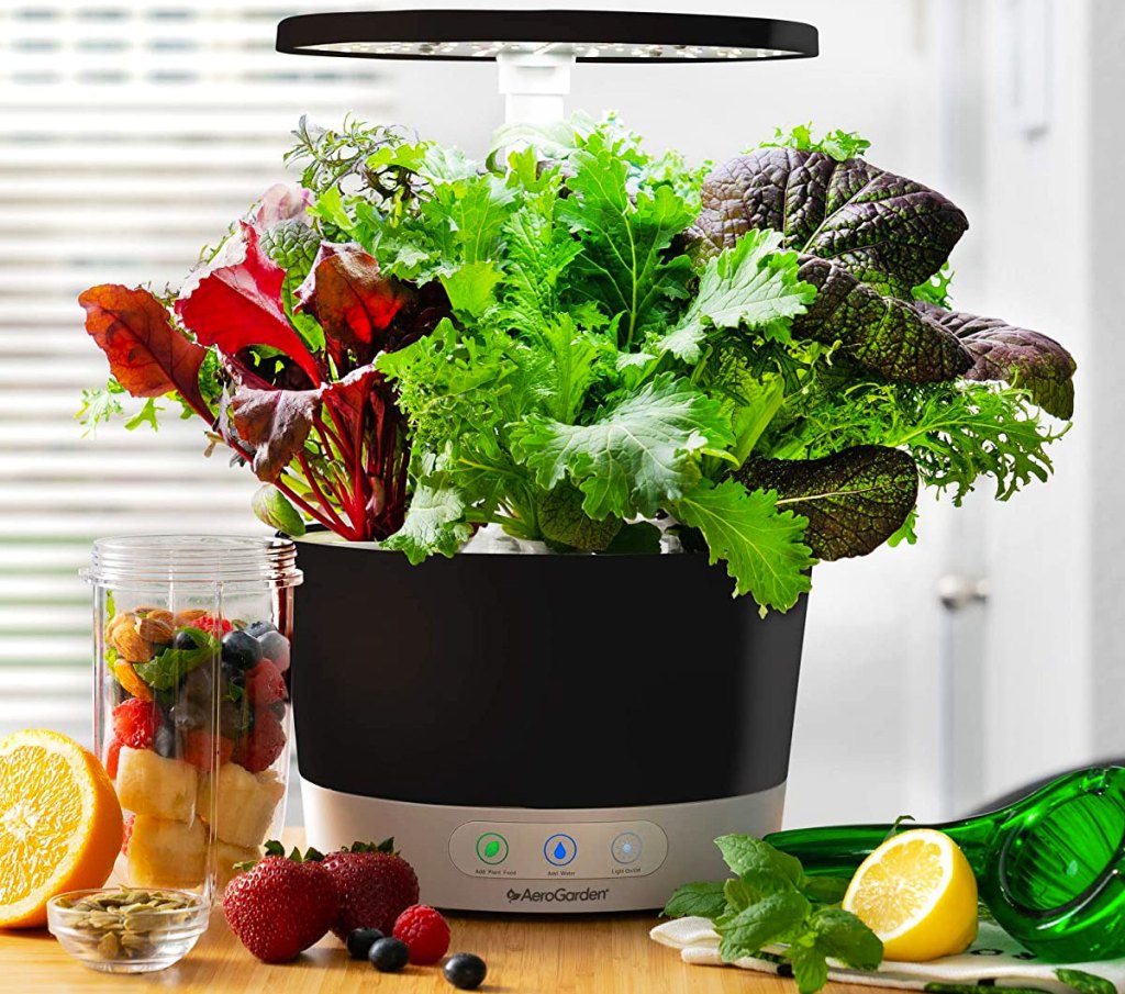 round black aerogarden planter growing lettuce on kitchen counter