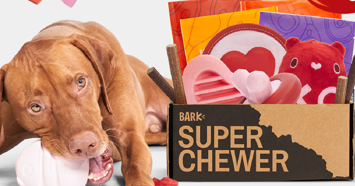 50 Off Dog Toys with Super Chewer BarkBox Order Hip2Save