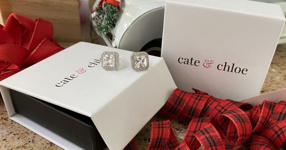 Cate & Chloe Earrings from $16.80 Shipped (Includes Gift Box!)