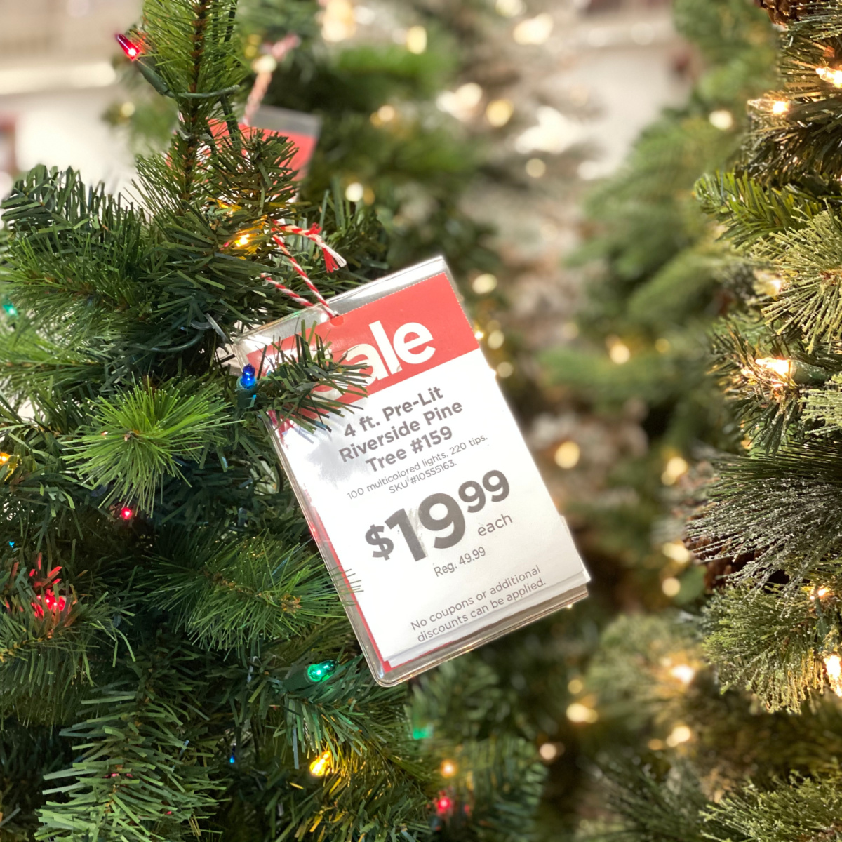 Christmas Trees at Michaels