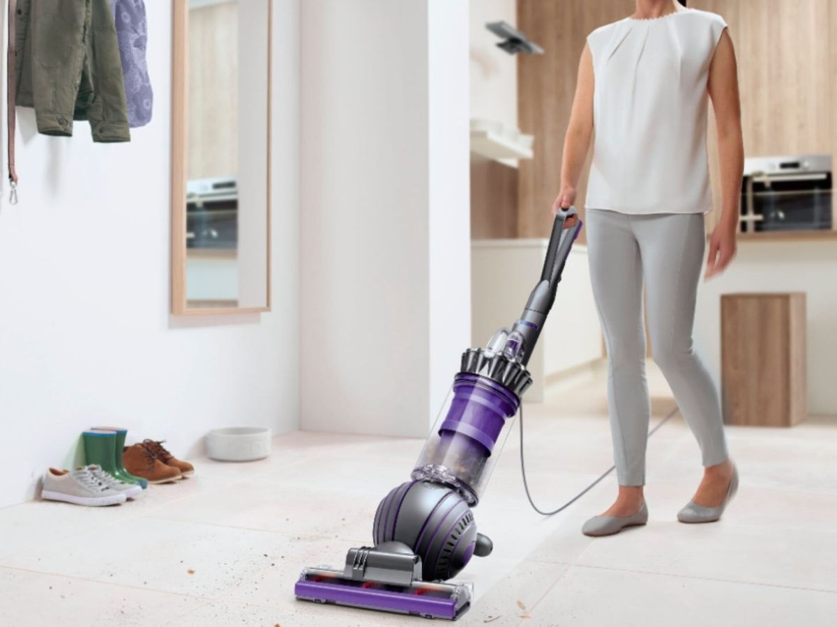 Dyson Ball Animal 2 Upright Vacuum Only 