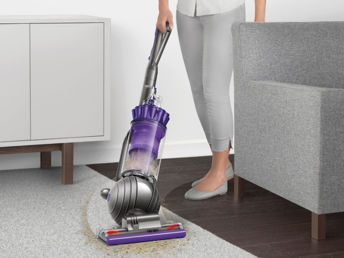 dyson animal 2 vacuum cleaner