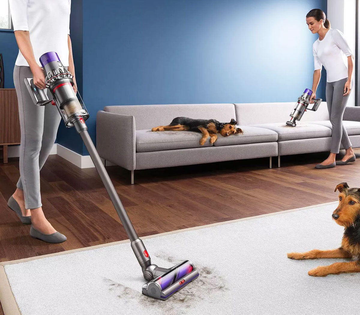 woman using a dyson cordless vacuum to clean up pet hair on floor and on couch in background