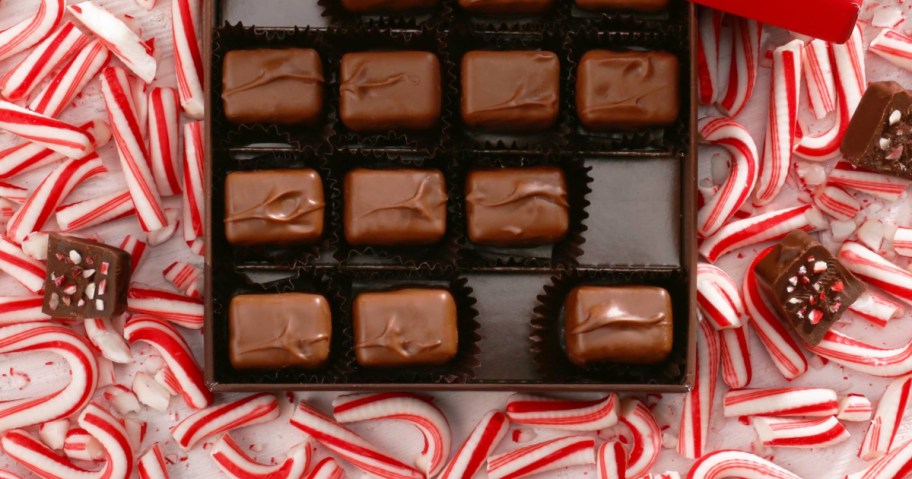 Frango Chocolate Box