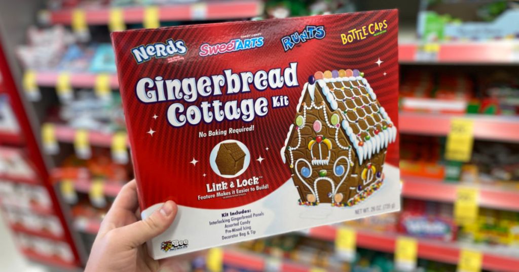 hand holding gingerbread house