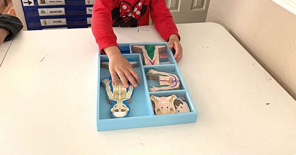 kid playing with magnetic human body set