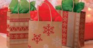 Free Shipping On ANY Oriental Trading Company Order Gift Bags 12 