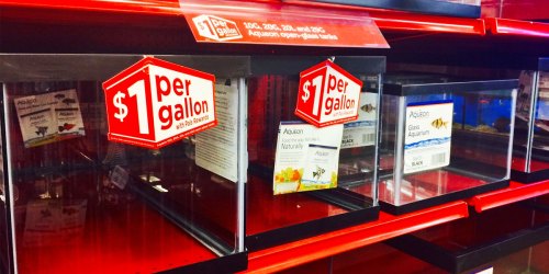 $1 Per Gallon Glass Aquarium Tank Sale at Petco | Choose from 3 Sizes