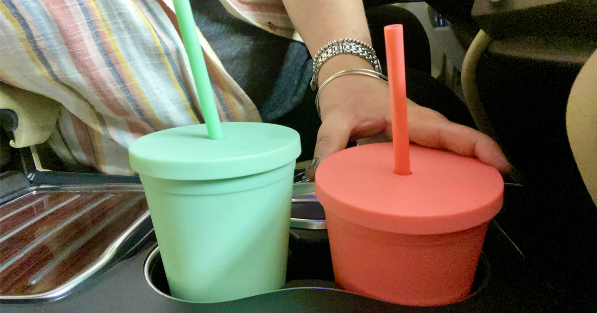 STRATA tumblers in the car cup holders