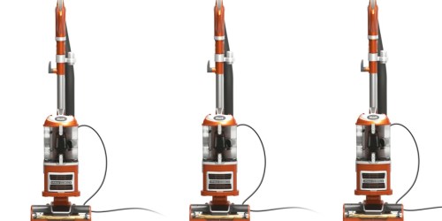 Shark Navigator Upright Vacuum Only $98 Shipped on Walmart.com (Regularly $199)
