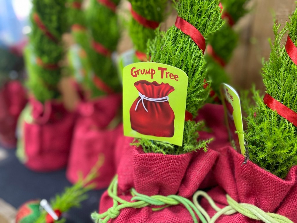 GrinchInspired Grump Christmas Trees Are Back & Under 8 at Trader Joe's