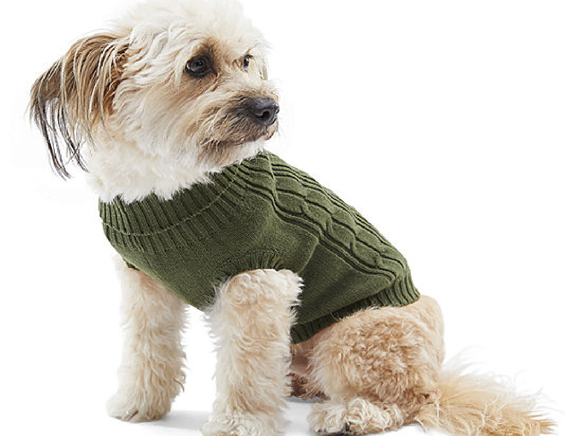 St. John s Bark Dog Sweaters Only 4.99 on JCPenney Regularly 22