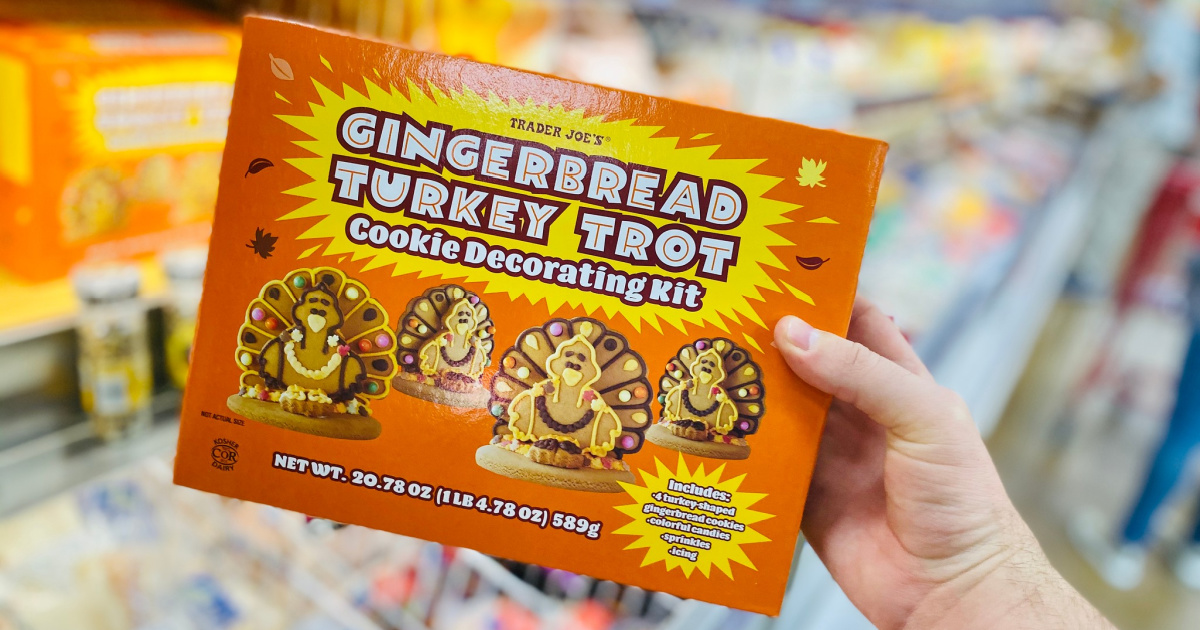 best Trader Joe's Thanksgiving foods - gingerbread turkey kit in box in hand at trader joes