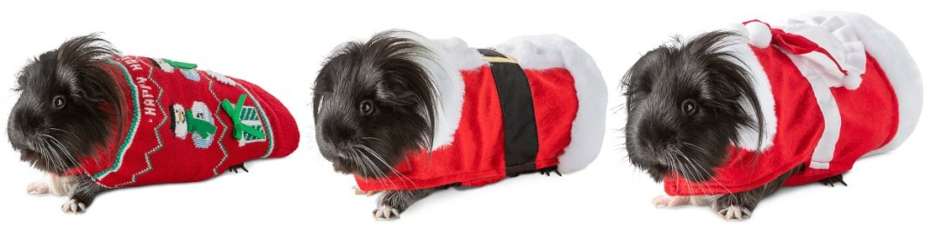 guinea pigs wearing Christmas costumes